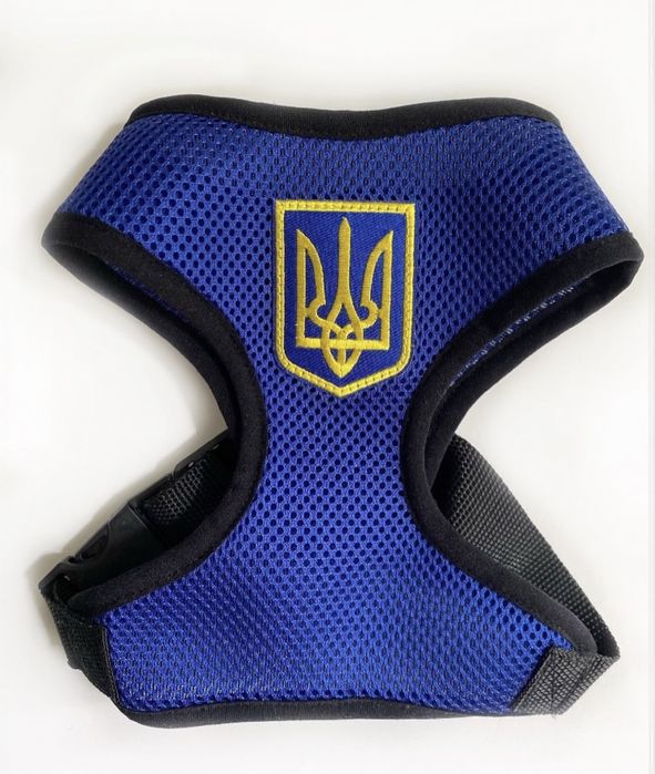 Шлея на собаку кота