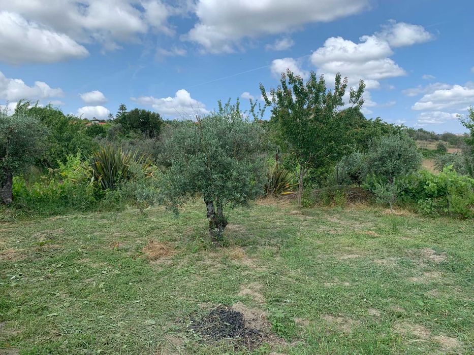 Terreno Particular com Viabilidade de construção em Mangualde
