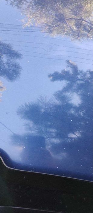 Daewoo Lanos SE, 2010