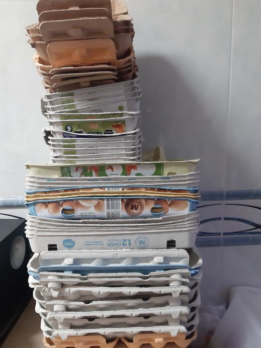 Caixas de ovos de 6 e 12uni