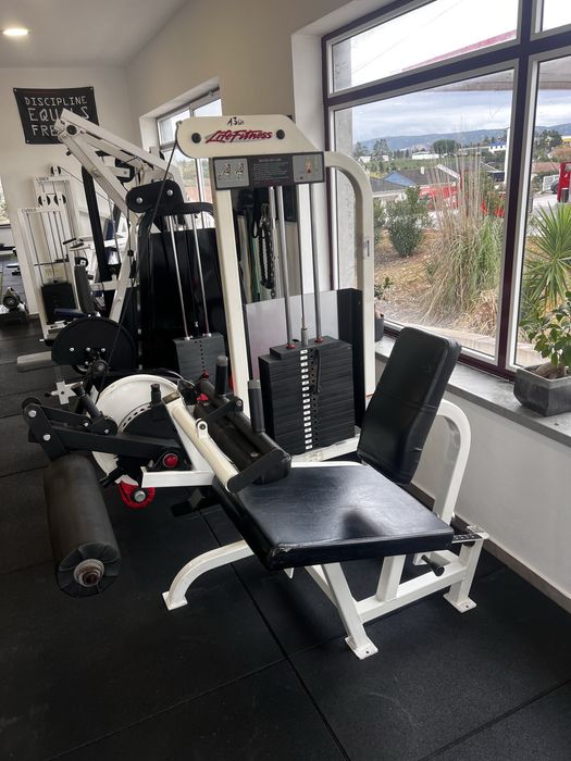 Life fitness pro 1 leg curl