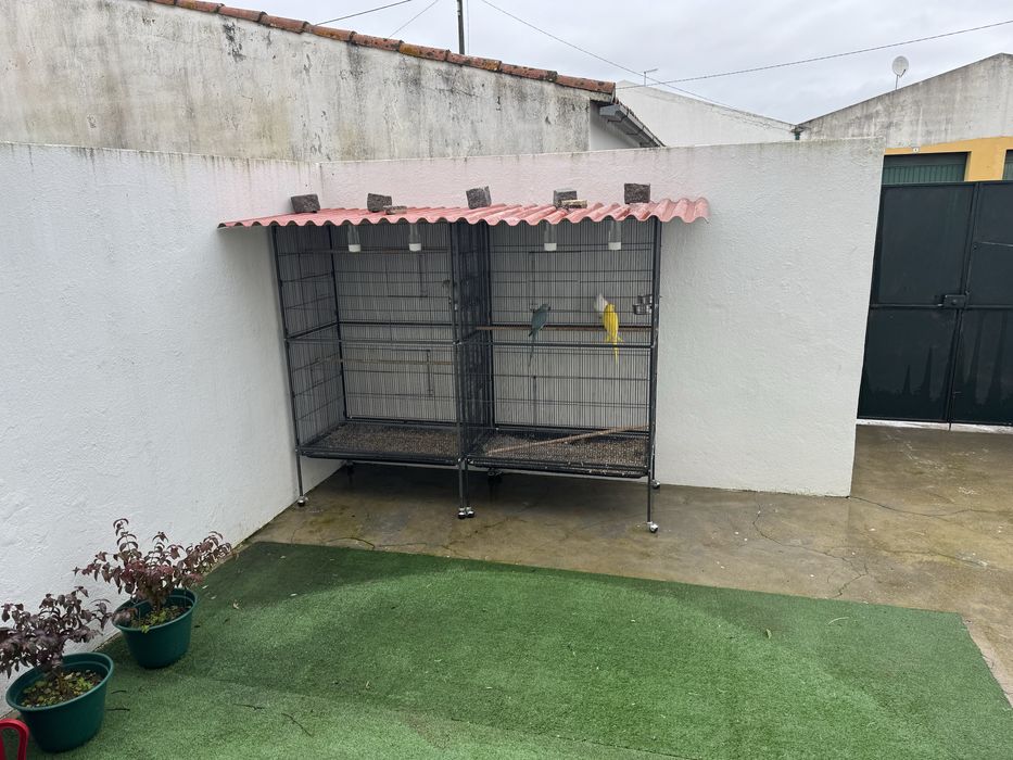 Tenhos duas gaiolas iguais para venda