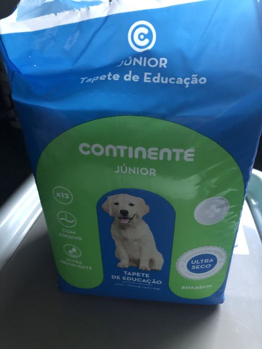 Tapete educação, acessórios e ofertas