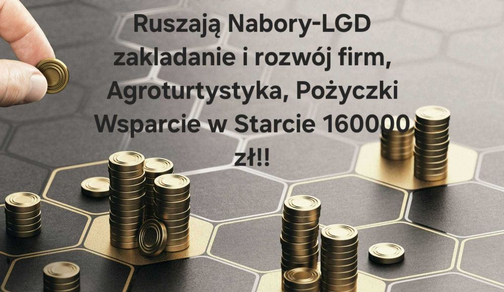 Dotacje Wniosek LGD Biznes plan Agroturystyka PUP Wnioski pożyczki BGK