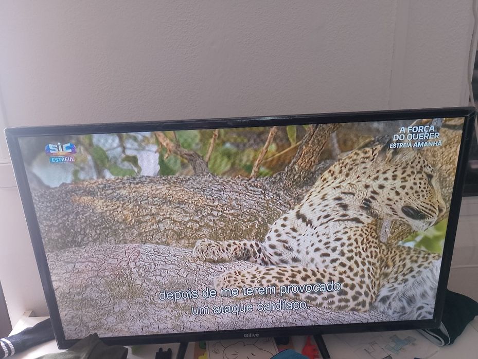 TV smartv 32 polegadas