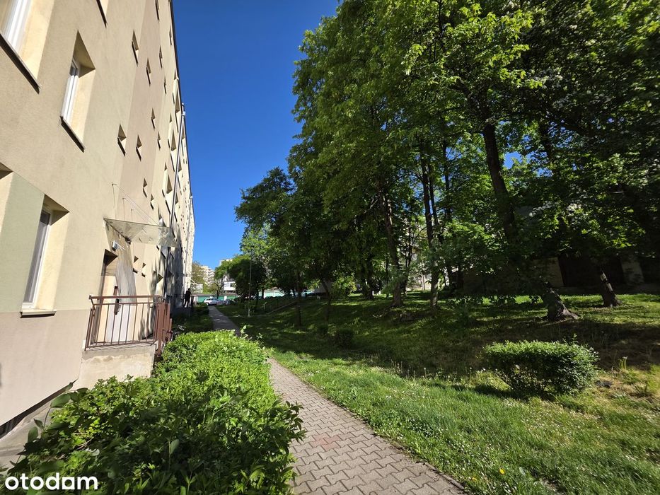 REZERWACJA Klimatyzowane 2 pokoje obok Parku Róż i Parku Śląskiego