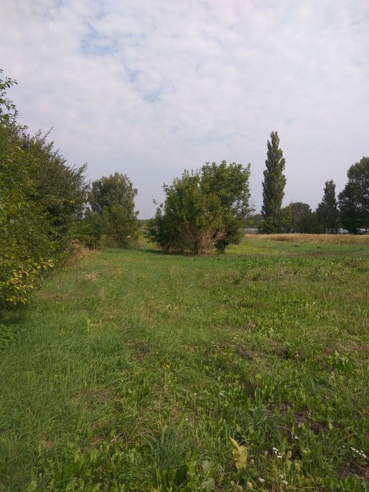 Продам будинок в мальовничому місці