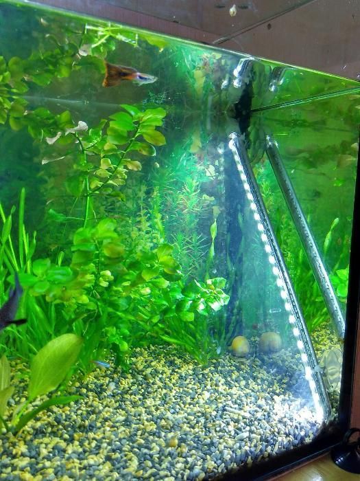 Светодиодные светильники для аквариума. Погружные лампы. Фитолампы.