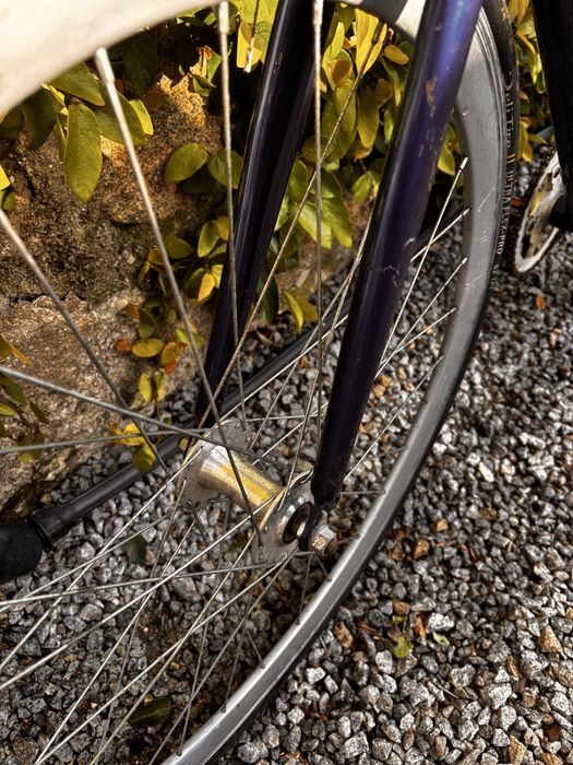 Bicicleta tipo Fixie