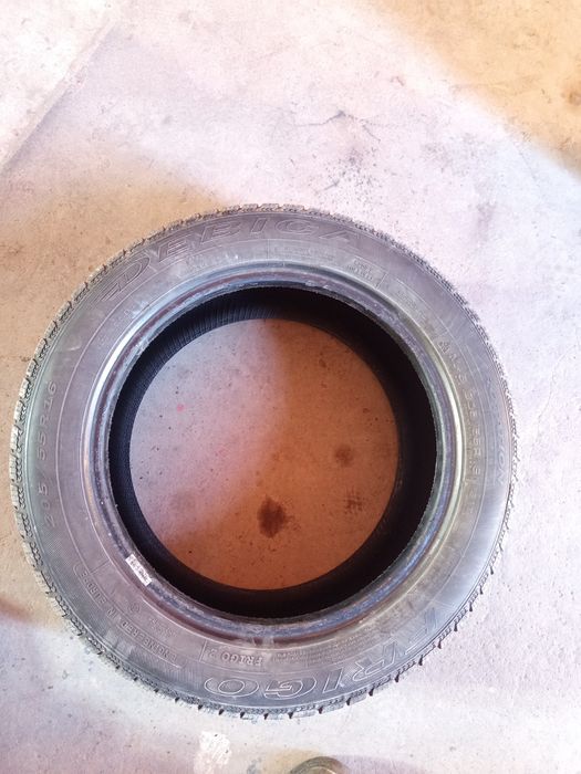 Opona zimowa Dębica Frigo 205/55/16