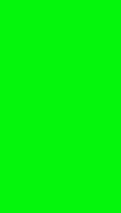 Fundo Fotográfico Verde