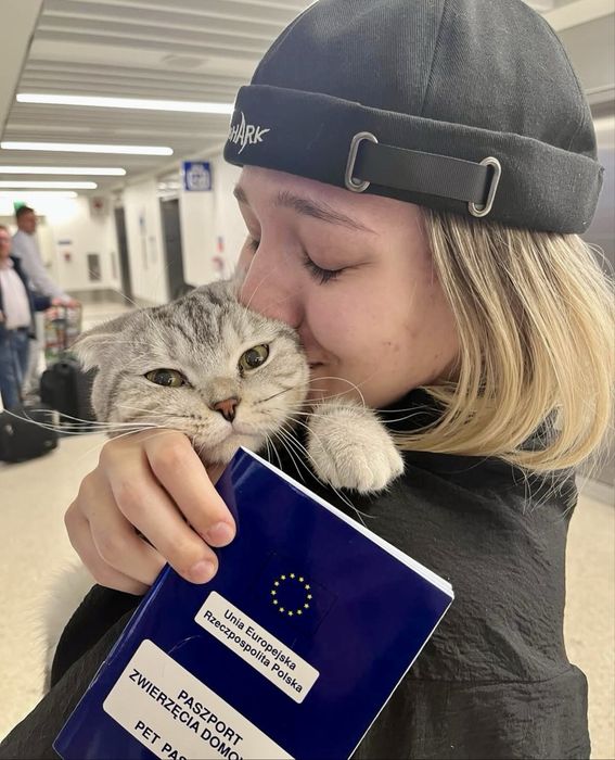 Перевозка животных в Європу. Доставка котов, собак. Перевезення.