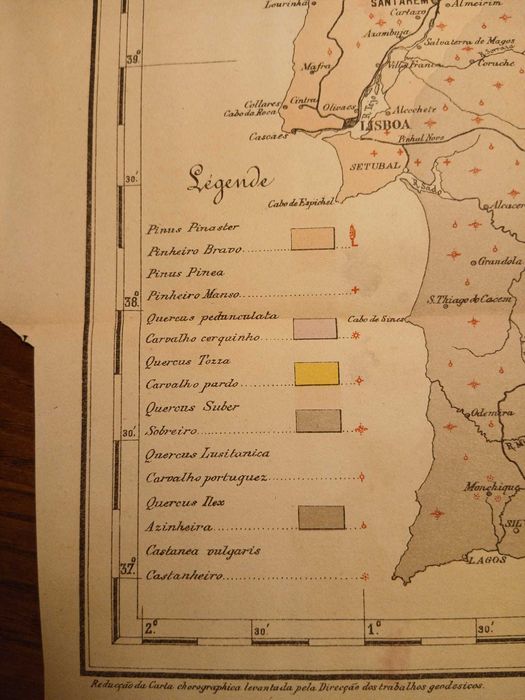 Mapa Portugal - Distribution des essences forestiéres dominantes