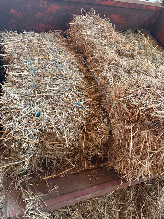 Fardos de palha 3,50euro casa um