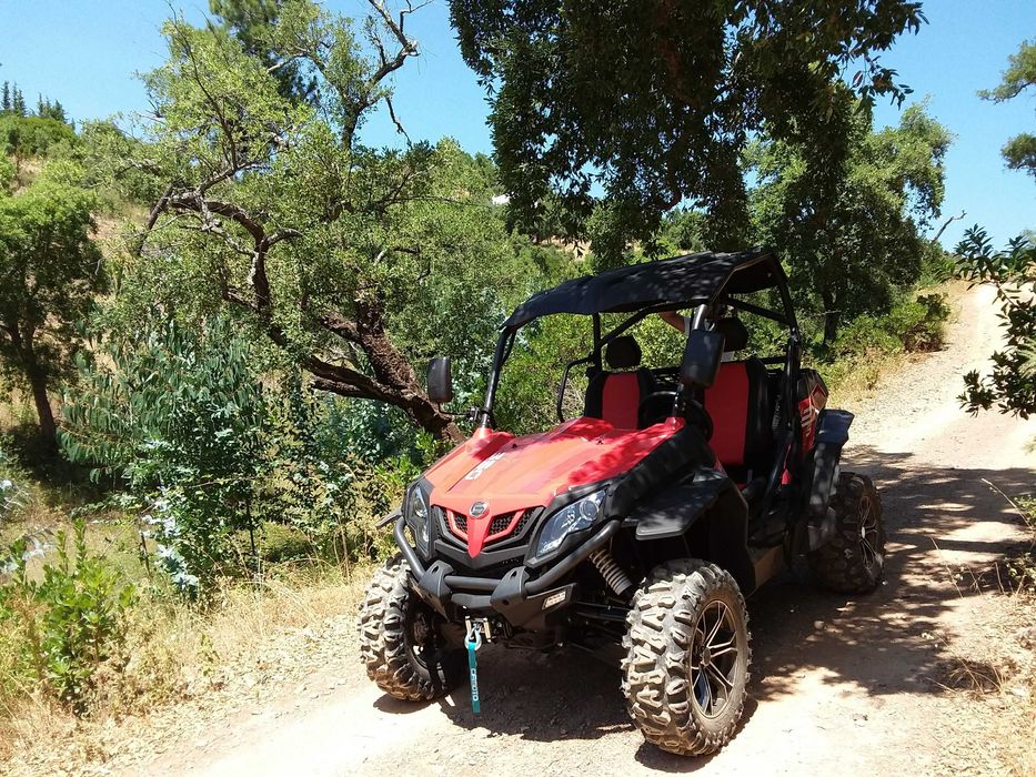 Buggy Zforce 550EX