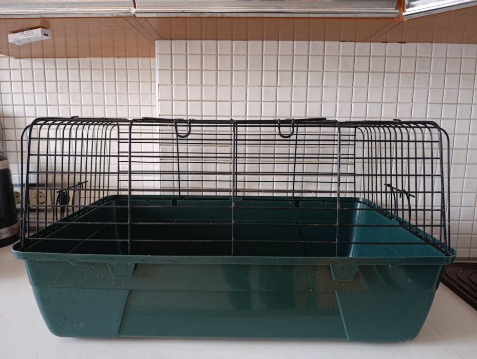 Клітка для хом'яка, морської свинки