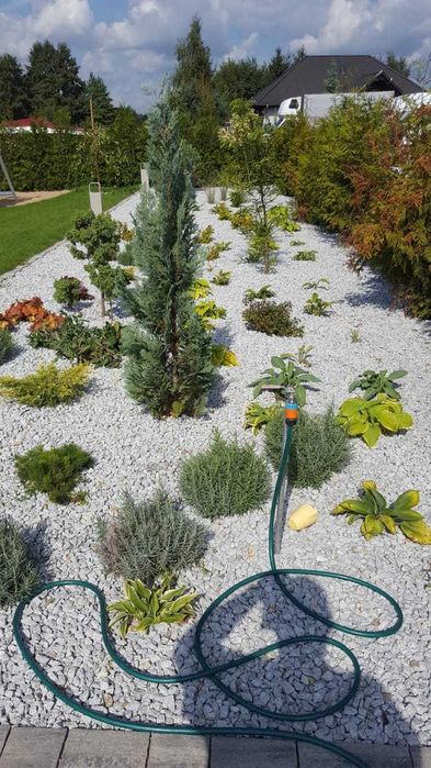 Grys granitowy, DALMATYŃCZYK 8-16, 16-22