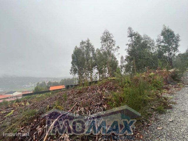 Terreno - Peroselo, Penafiel