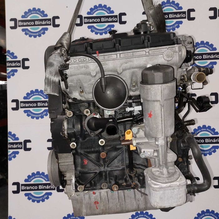 Motor Volkswagen 1.9 TDI (AUY)