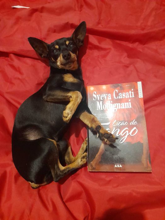 Livro "Lição de tango", de Sveva Casati Midignani