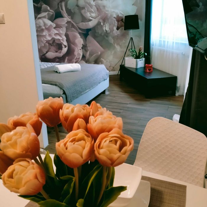 Nowe Apartamenty ParkCity Katowice  promocja, również na godziny