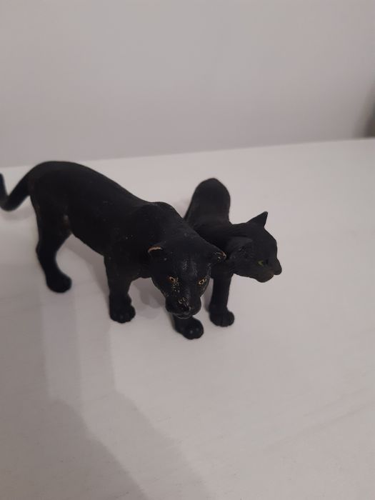 Czarna pantera plus młode