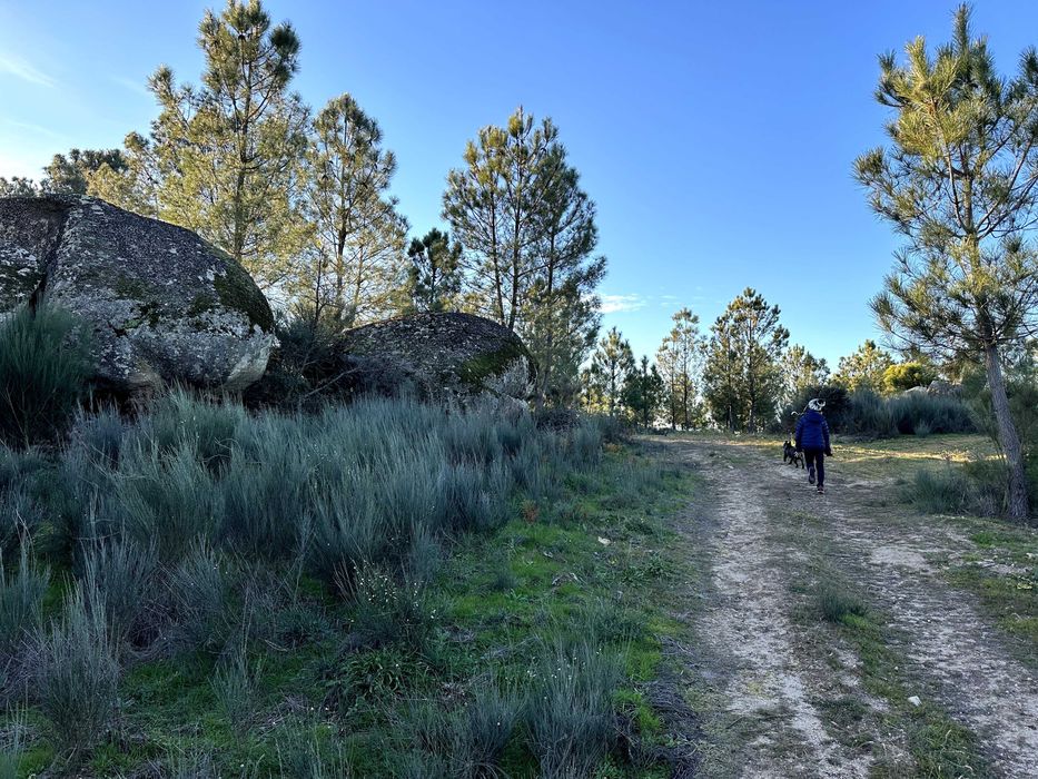 Refúgio de 9 Hectares com Vistas para a Serra da Estrela