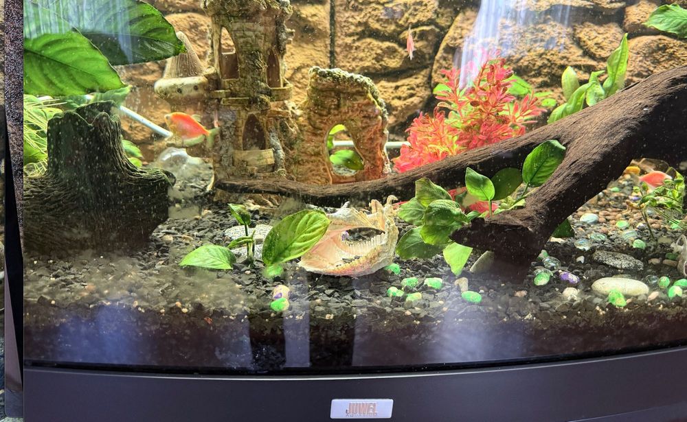 Аквариум JUWEL VISION 450