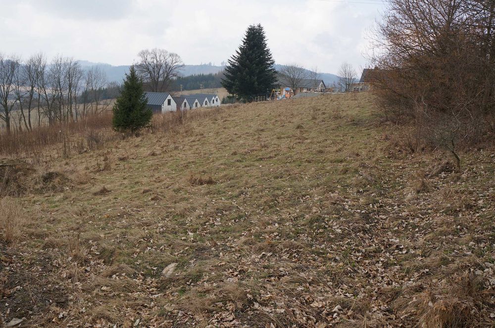 Sprzedam dzialke rolna  z wstepna zabudowa