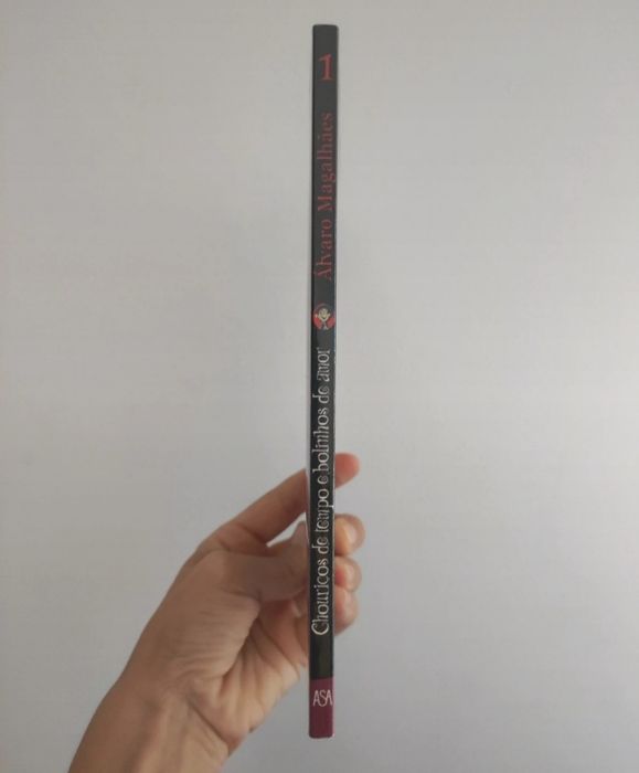 Novas crónicas do Vampiro Valentim Livro 1