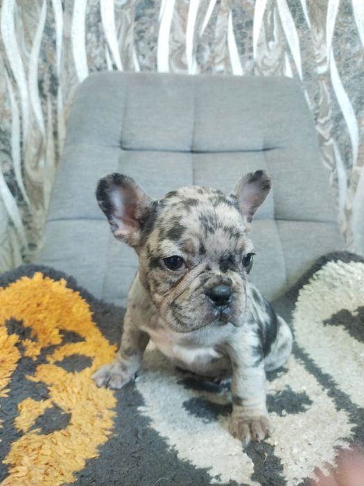 В пошуках родини