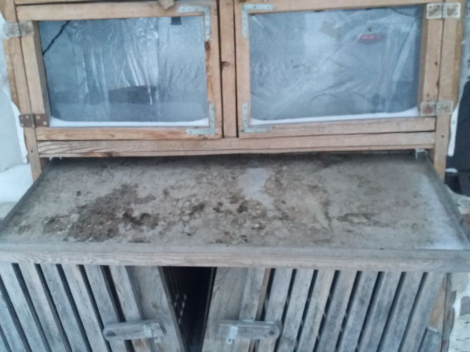 Бруддер ддя відігріву курчат