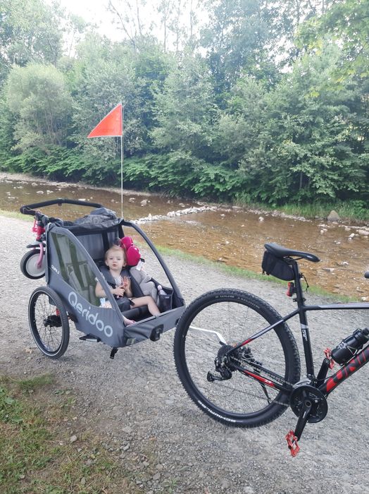 Przyczepka Qeridoo Qupa2 Grey