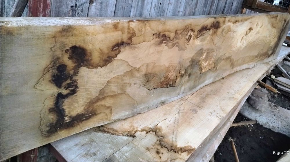 Brusy dębowe monolity suche do zywicy forszty