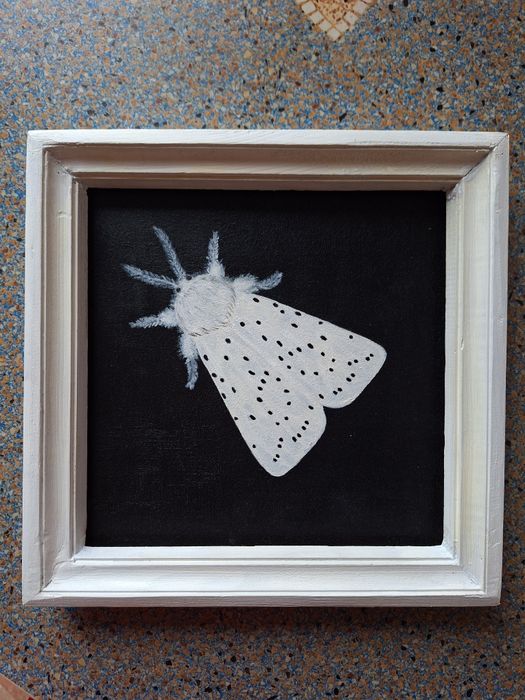 Картини з метеликами