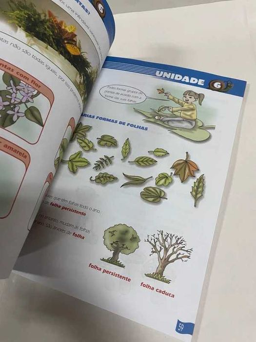 Livro exercícios Estudo do Meio 3o Ano - Saltitão