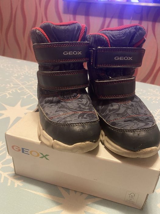 Зимние сапоги на мальчика Geox