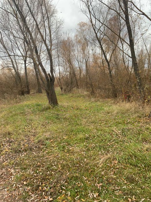 Участок 10 сот под застройку, вторая линия, с. Соболевка