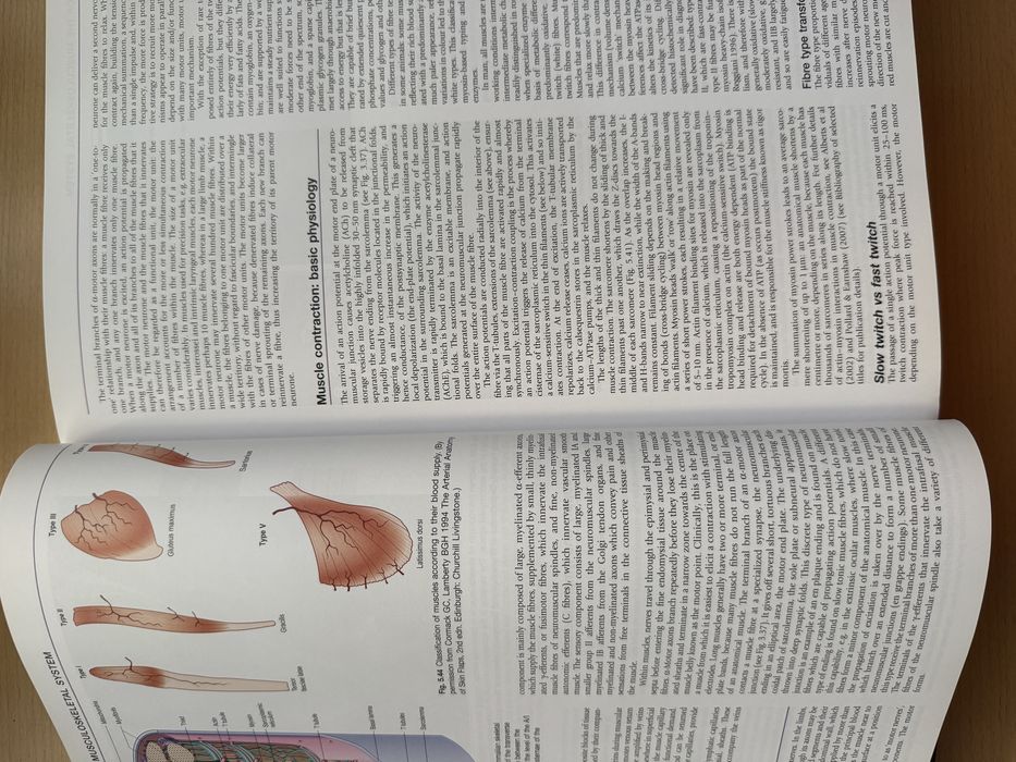 Livro GRAY’S Anatomy