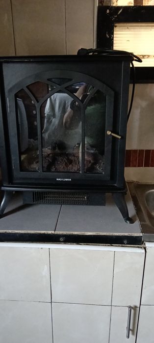 Salamandra eléctrica