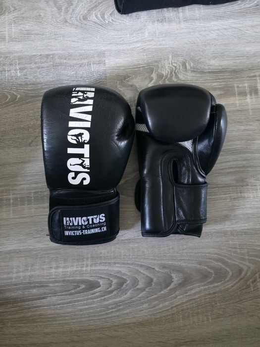 Боксерские перчатки Invictus 12oz