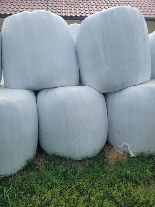 Bele lucerna 2025r rotor+cięcie