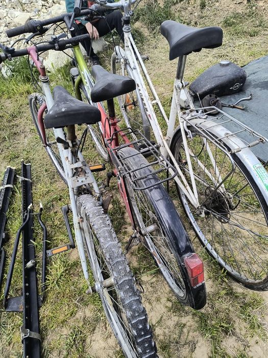 Rowery dla dzieci i dorosłych