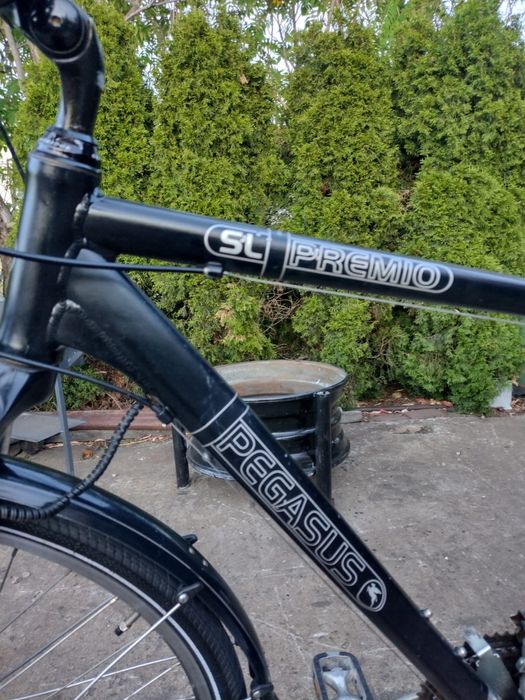Rower meski pegasus