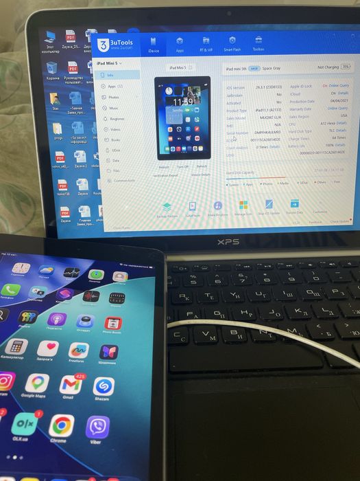 Ipad mini 5 64 gb 100% акб