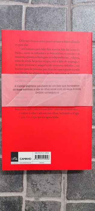 Livro Os Transparentes do autor angolano Ondjaki