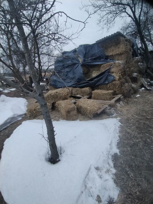 Продам сено и солому в тюках