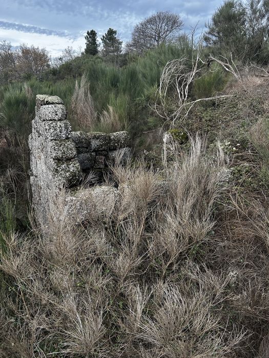 Terreno com Ruina - Serra do Marão