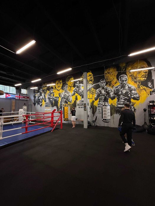 Sala treningowa na godziny/Boks/MMA/Kikboxing/Karate/Fitness 250m2