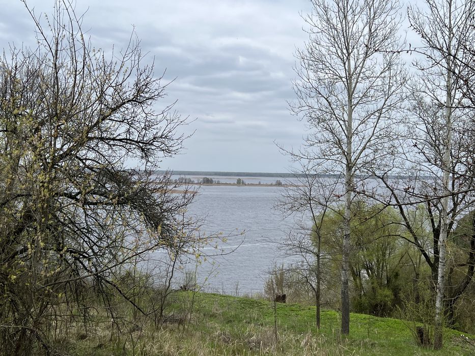 Земельні ділянки Ржищів 0,49 га
